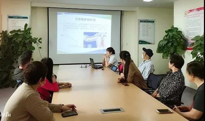 站群系统在电商领域的应用与发展趋势